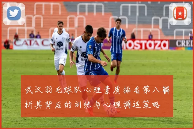 武汉羽毛球队心理素质排名第八解析其背后的训练与心理调适策略