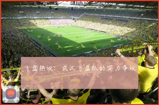 飞盘热议：武汉飞盘队的实力争议