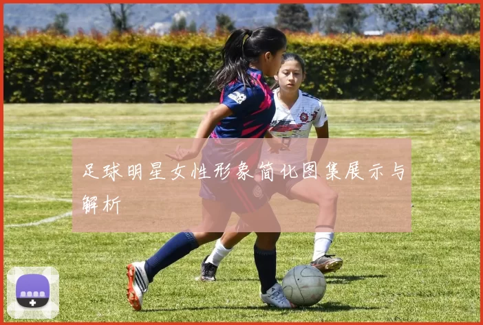 足球明星女性形象简化图集展示与解析