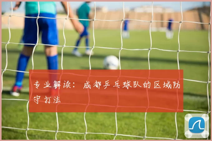 专业解读：成都乒乓球队的区域防守打法